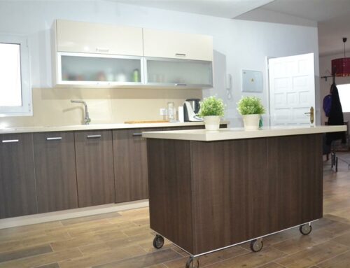 Nice kitchen in Wenge color